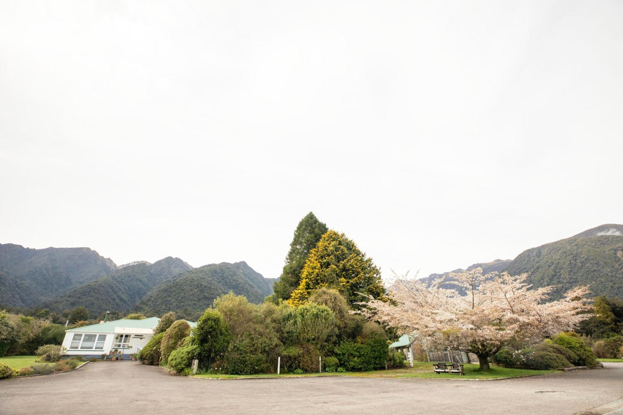 Rainforest Motel Fox Glacier Eksteriør bilde